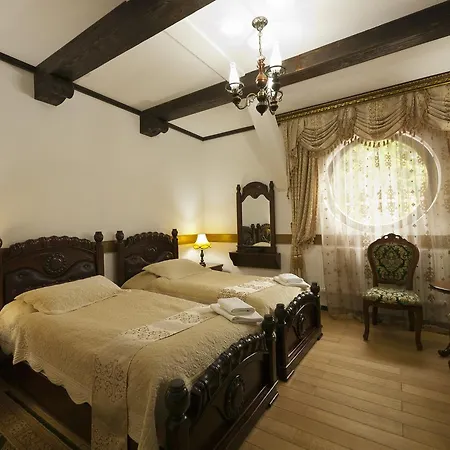 Zamek Luzec & Wellness Karlovy Vary